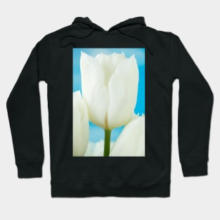 Tulipa  'White Dream'  Tulip Hoodie